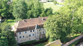 Гостиница Chambres d'hôtes Château De Grunstein  Стоцхейм
